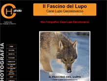 Tablet Screenshot of ilfascinodellupo.com